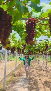 Pak Meng Beach Background